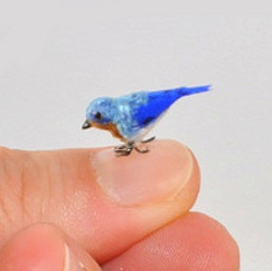 1:12 scale Eastern Bluebird is handmade from polymer clay and wire armature for the legs, painted with acrylic paints and sealed. Then for the bird coat I applied white, brown and blue flocking and tiny feathers, marking with fabric pen. One of a kind animal, bird for miniature dollhouse by CDHM Artisan Malinik Miniatures