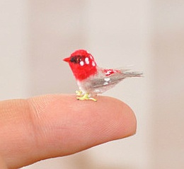 OOAK 1:12 scale Eastern redbird is handmade from polymer clay and wire armature for the legs, painted with acrylic paints and sealed by CDHM Artisan Malinik Miniatures