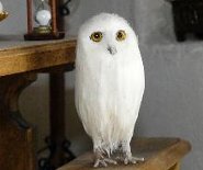 CDHM artisan Irmgard Gritzan creates dollhouse scale owls and other animals