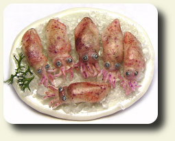 CDHM and IGMA Fellow Kiva Atkinson shows you a how-to to make stuffed baby calamari in dollhouse 1:12 scale