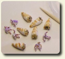 CDHM and IGMA Fellow Kiva Atkinson shows you a how-to to make stuffed baby calamari in dollhouse 1:12 scale