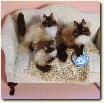 CDHM Artisan Bridget McCarty creates furred cats adn dogs for the dollshouse miniatures