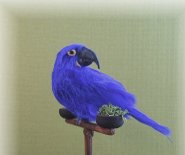 CDHM and IGMA artisan Stephanie Brown sculpts and feathers birds and furs animals including parrots in 1:12 scale