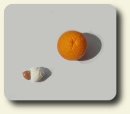 CDHM artisan Hanna Lindroth doing business as Mini Chef shows you a how-to on making peeled oranges in dollhouse 1:12 scale