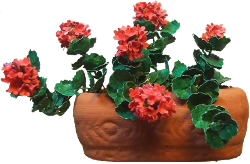 CDHM Artisan Cristina Diego creates handmade 1:12 scale flowers, plants and landscaping for the dolls house and railroad