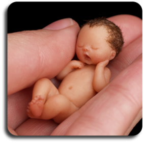 CDHM Artisan Camille Allen hand sculpts 1:12 baby dolls