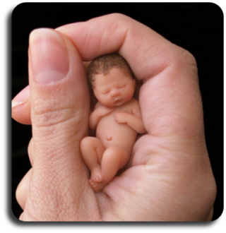 CDHM Artisan Camille Allen hand sculpts 1:12 baby dolls