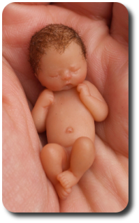 CDHM Artisan Camille Allen hand sculpts 1:12 baby dolls