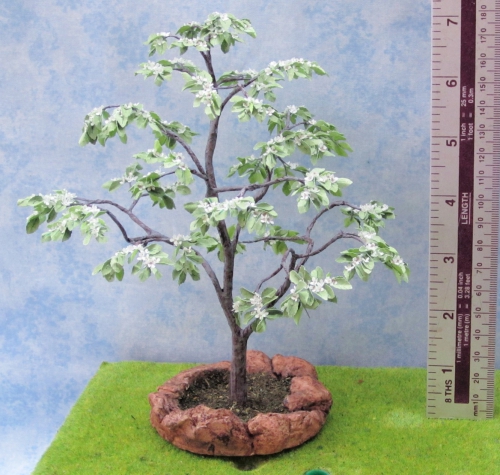 CDHM Gallery of Ceynix Miniature Trees 'n' Trains creating 1:12 trees, like this flowering Cornus Kousa, along with landscaping, bushes including for the railroad collector in HO scale