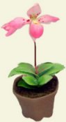 Ladyslipper by CDHM artisan Pimsiri Sukkerd of Bee Tree Minis