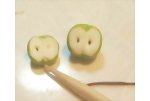 Inserting the seeds of the dolls miniature apple half