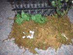 Placing the flower clusters into the moss