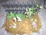 Adding moss to your border plants base in your dollhouse garden