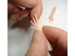 Stretching the polymer clay fingers