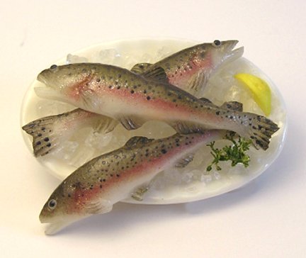 learn to sculpt rainbow trout, doll house food