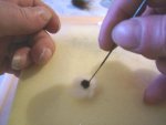 Punching the brown wool into the white ear piece
