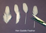 Hen Saddle feathers are good for miniatures
