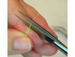 Snipping the ends of the wire
