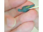 Making a indent to insert the feet into the body of the miniature polymer clay parrot