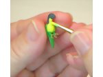 Preparing to choose the color and personality of your parrot sculpt