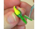 Applying the fourth and final tail feather