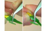 With your tweezers take the second primary feather and glue it to the wing