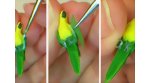 Feathering the under wing area of the sculpted parrot
