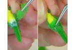 Glue and apply the green flock to the underside of the parrot sculpt