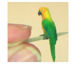 Completed Jendaya Conure measures 1 inch or 1:12 scale
