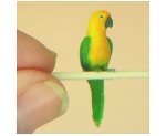 Different angle of completed Jendaya Conure measures 1 inch or 1:12 scale