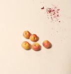 Showing peaches after they have been applied with artist chalk for DIY dollhouse miniatures peaches