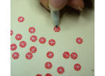 Drawing a fourth white line through the punched circles for dollhouse flowers let dry
