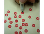 Drawing a third white line through the punched circles for dollhouse flowers