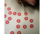 Adding a yellow dot with craft paint to the dollshouse flowers