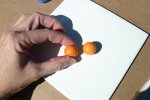 Flattening the rolled Balls for Pumpkin