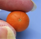 Roughing the stem to the pumpkin