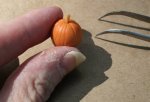 Adding a twig to the pumpkin