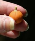 Reviewing the polymer clay pumpkin