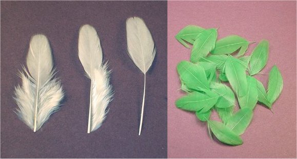 learn to dye your own feathers and thread 