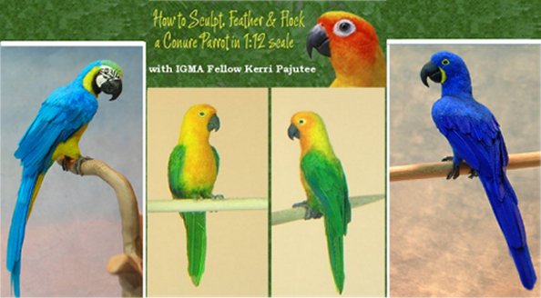 learn to flock and feather a 1:12 scale parrot