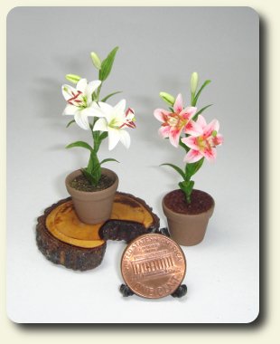 CDHM category feature, CDHM The Miniature Way, May 2010 Tribute to Mother's Day